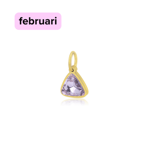 DYO Premium Birthstone goud februari