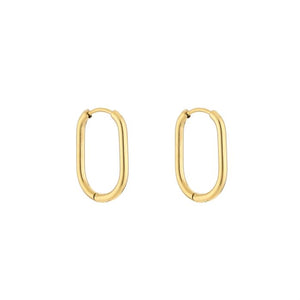 DYO premium ovalen oorbellen 2 cm goud