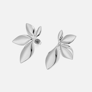 Oorstekers botanisch zilver