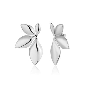 Oorstekers botanisch zilver