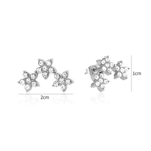 Oorstekers sterren met steentjes zilver