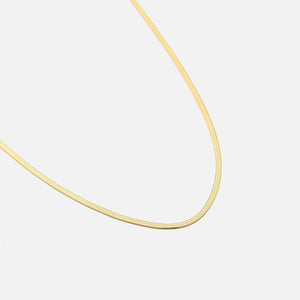 Platte ketting 2mm goud