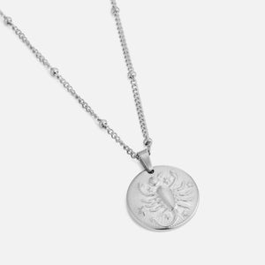 Sterrenbeeld ketting zilver